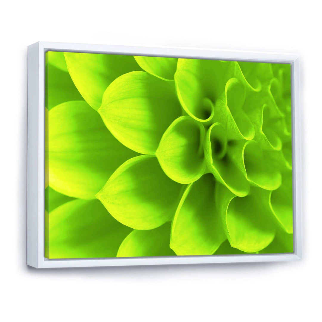 Bright Green Flower Petals