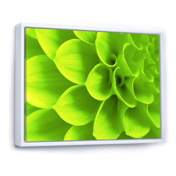 Bright Green Flower Petals