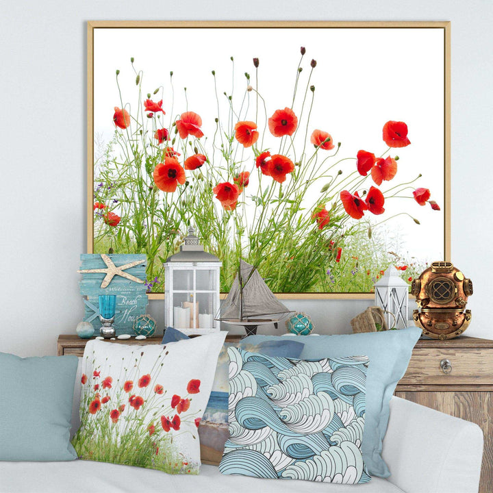 Poppies on White Background