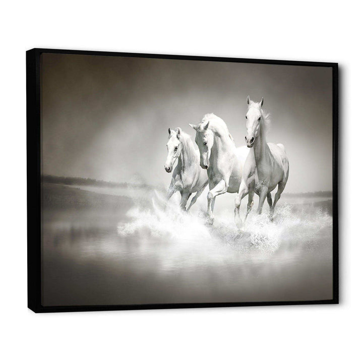 Horses Running Through Water