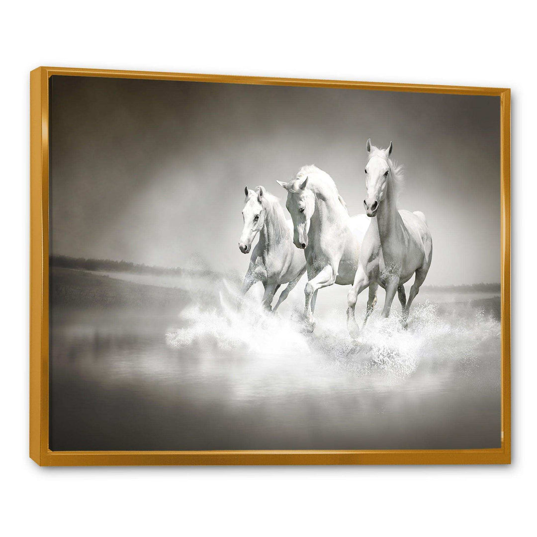 Horses Running Through Water