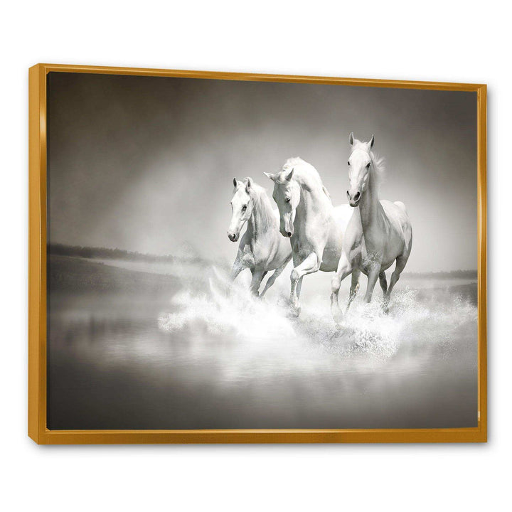 Horses Running Through Water