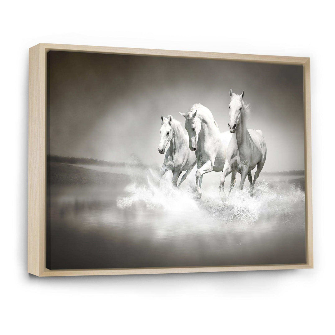 Horses Running Through Water