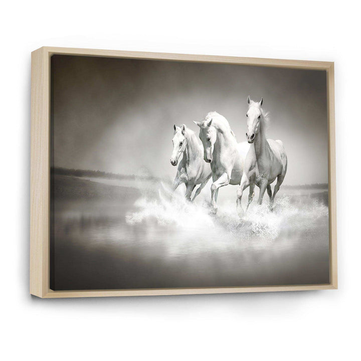 Horses Running Through Water