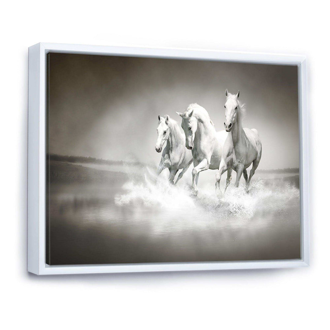 Horses Running Through Water