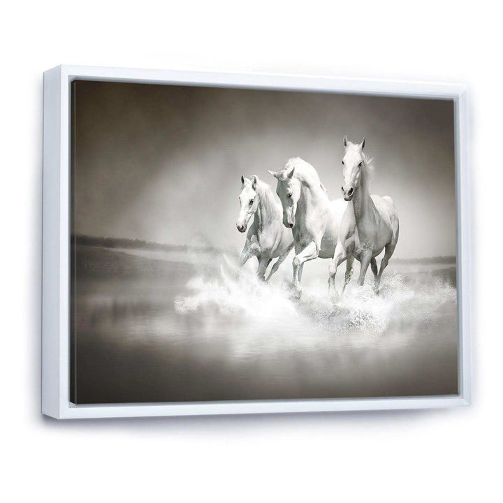 Horses Running Through Water