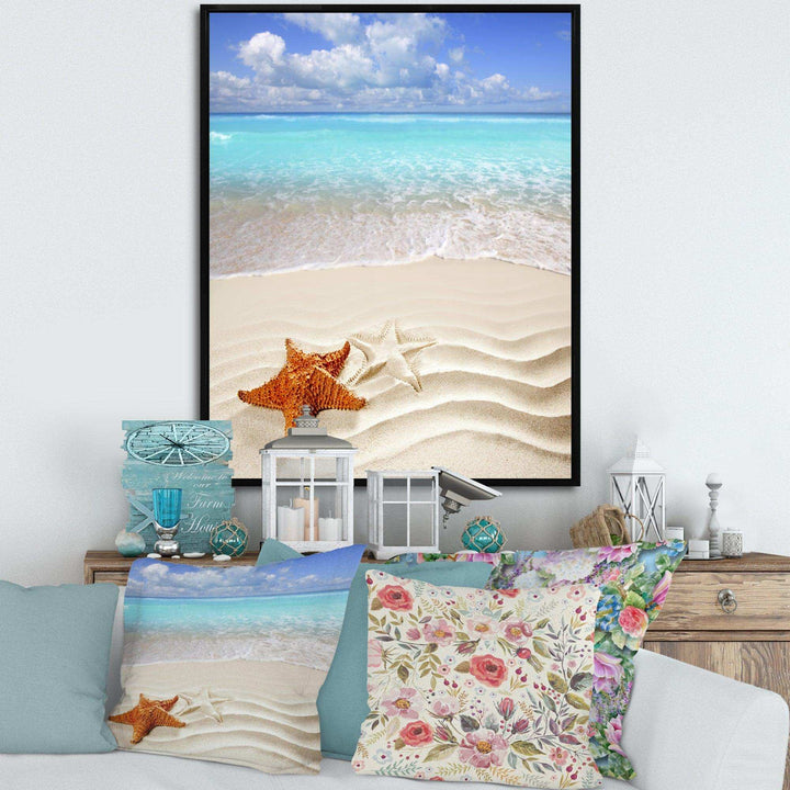 Brown Starfish on Caribbean Beach
