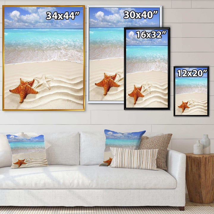 Brown Starfish on Caribbean Beach