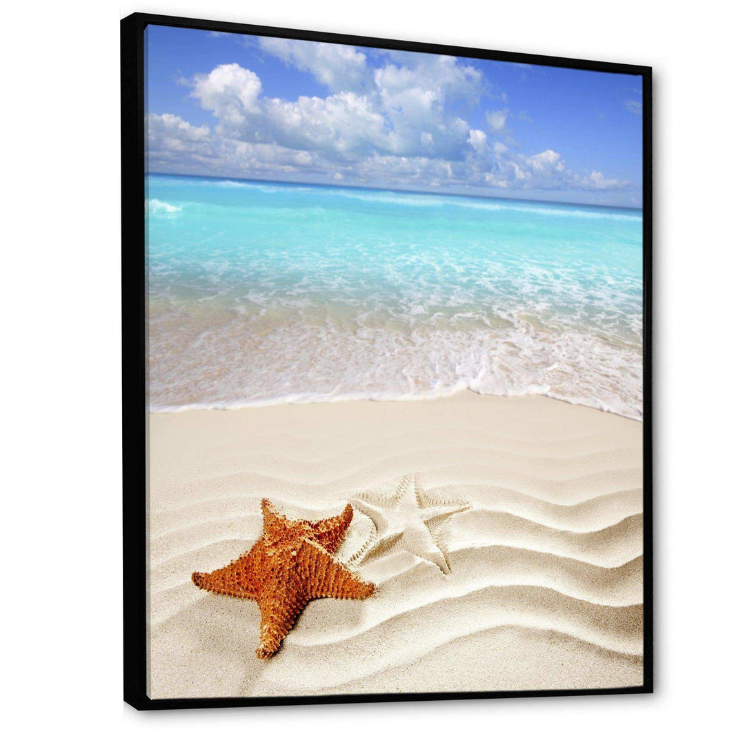 Brown Starfish on Caribbean Beach