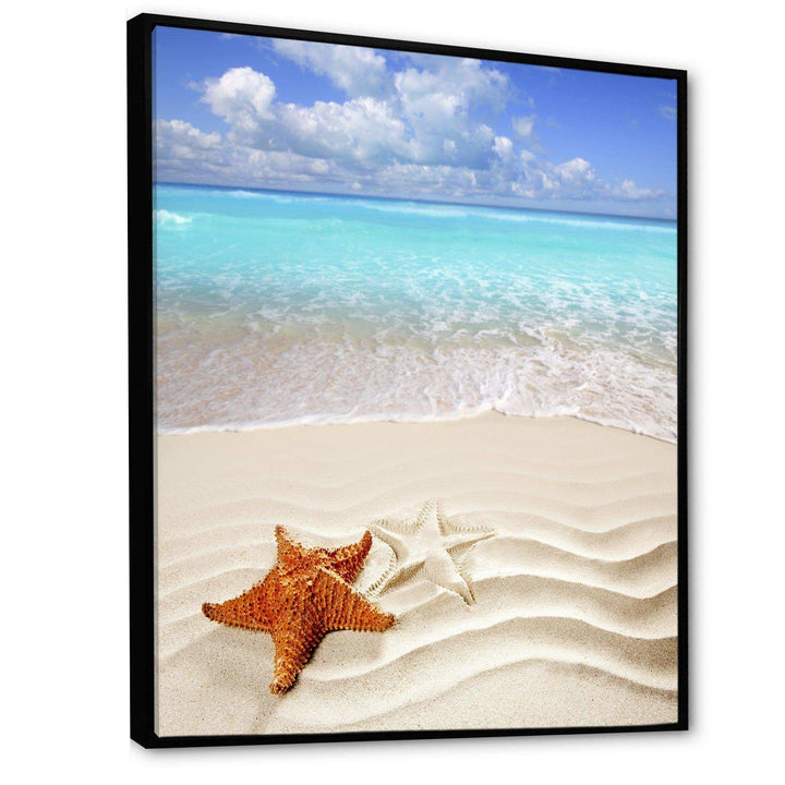 Brown Starfish on Caribbean Beach
