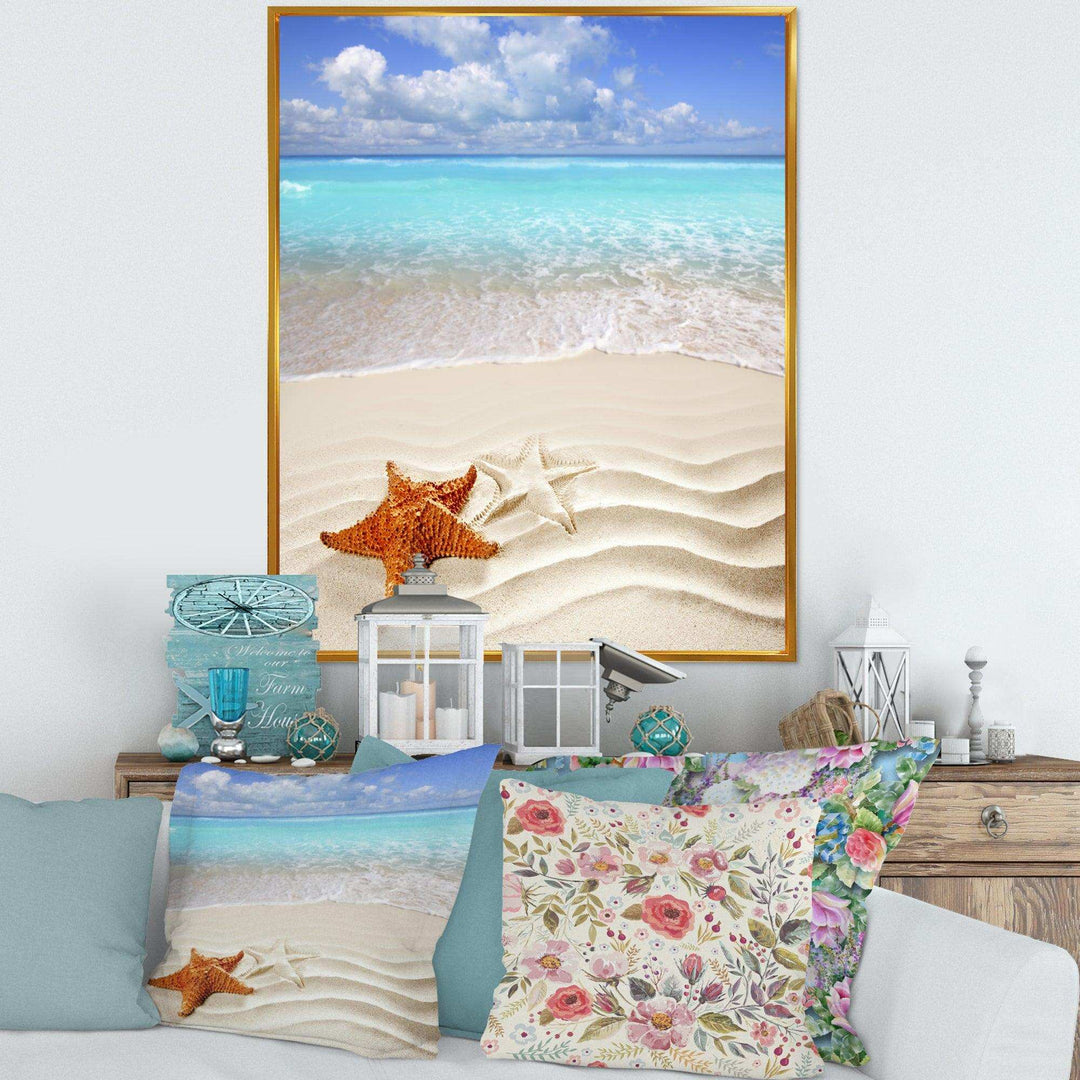 Brown Starfish on Caribbean Beach