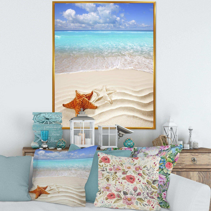 Brown Starfish on Caribbean Beach