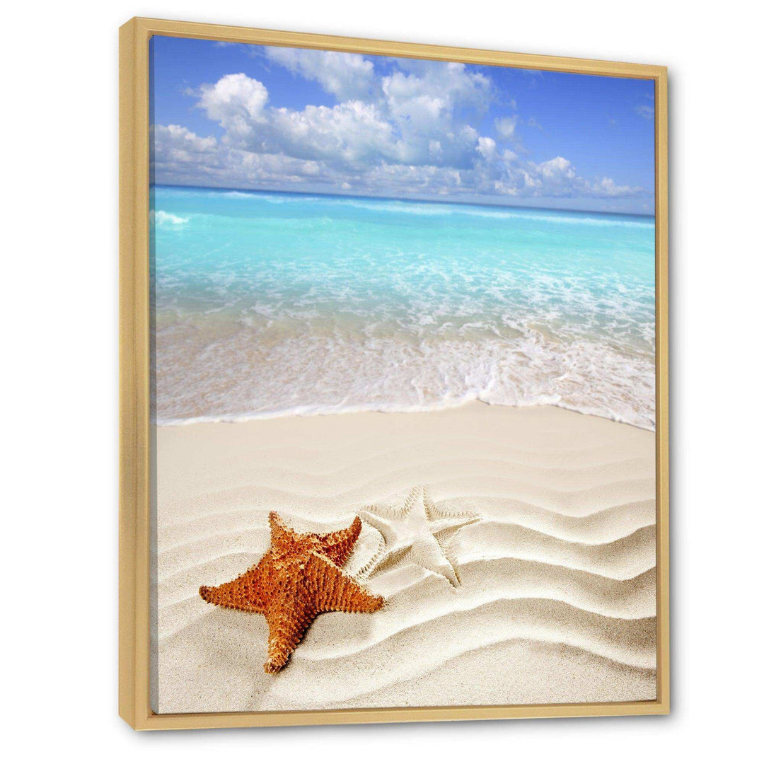 Brown Starfish on Caribbean Beach