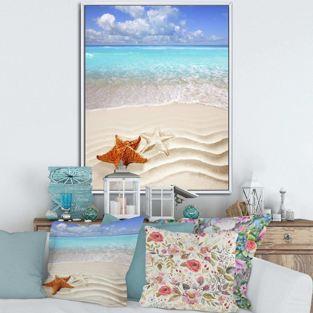 Brown Starfish on Caribbean Beach