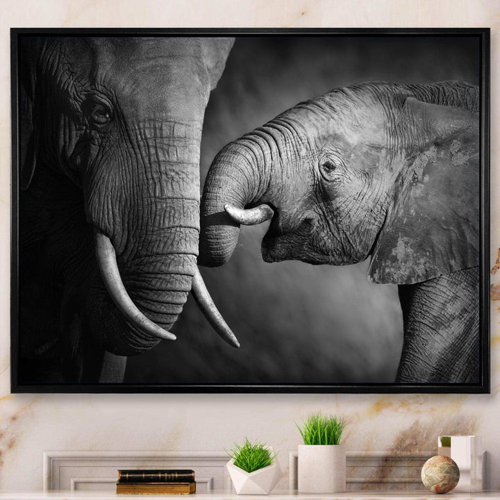 Elephants Showing Affection