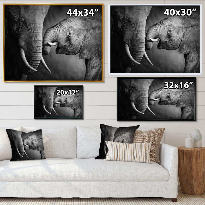 Elephants Showing Affection