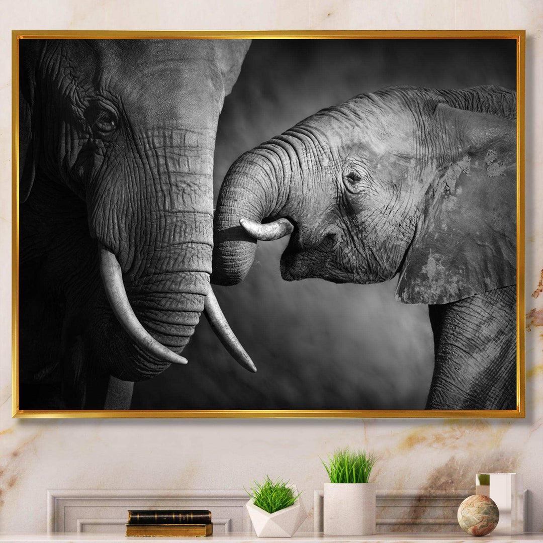 Elephants Showing Affection