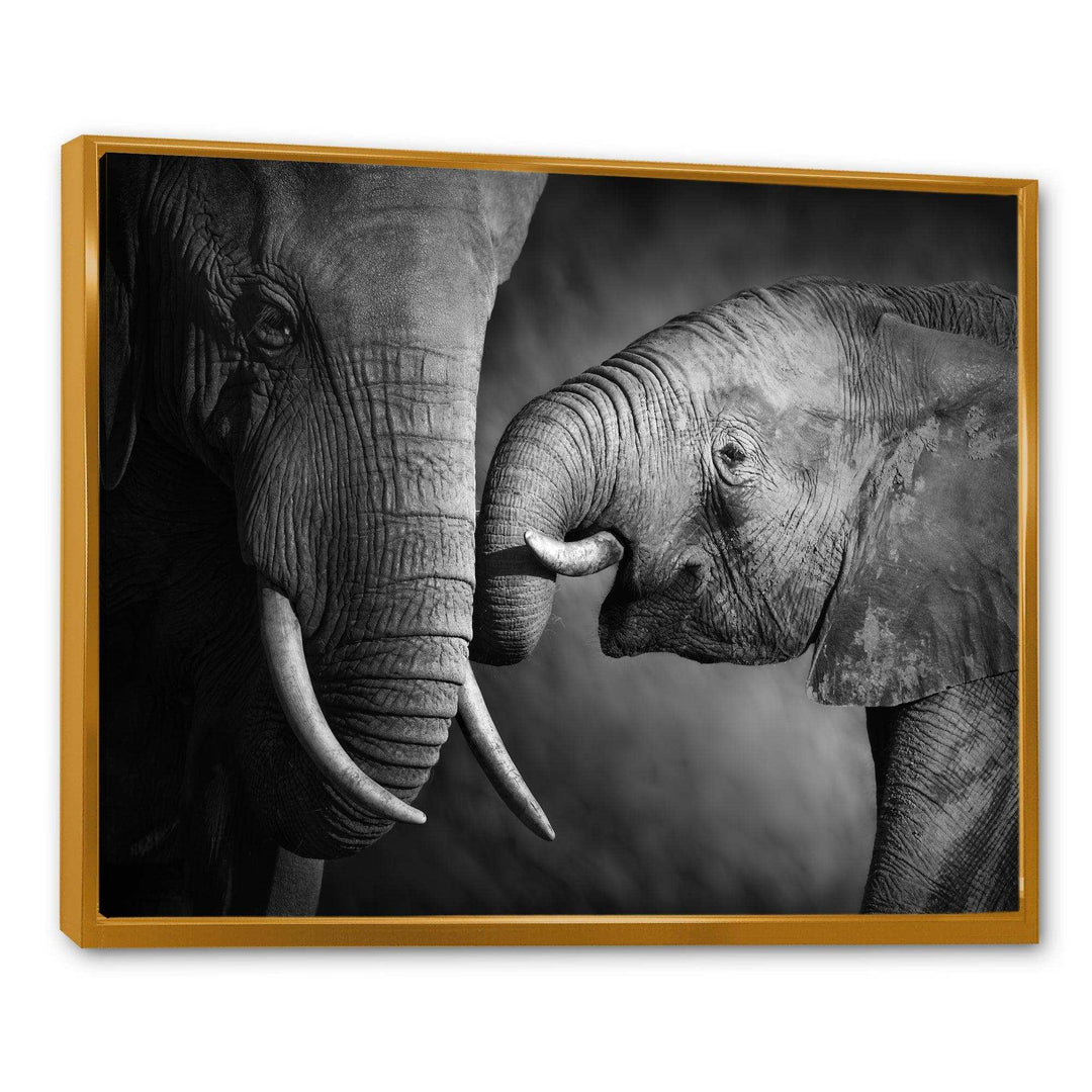Elephants Showing Affection