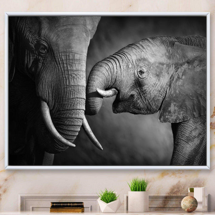 Elephants Showing Affection