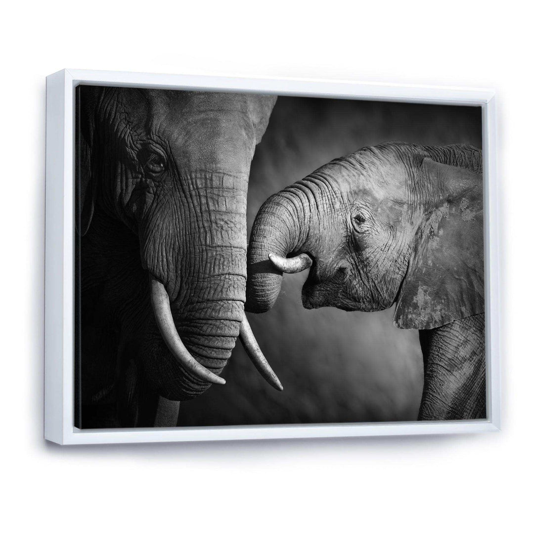 Elephants Showing Affection