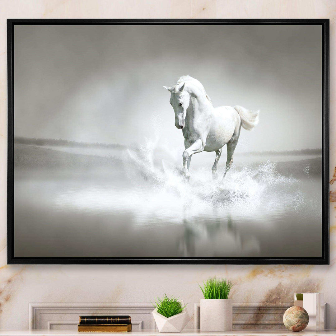 White Horse Running in Water