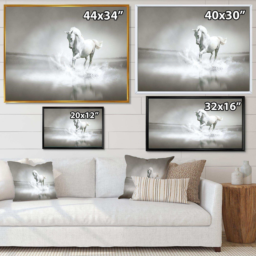 White Horse Running in Water