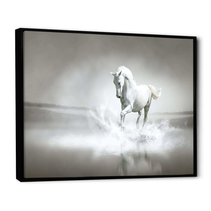 White Horse Running in Water