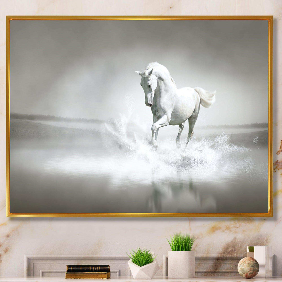 White Horse Running in Water