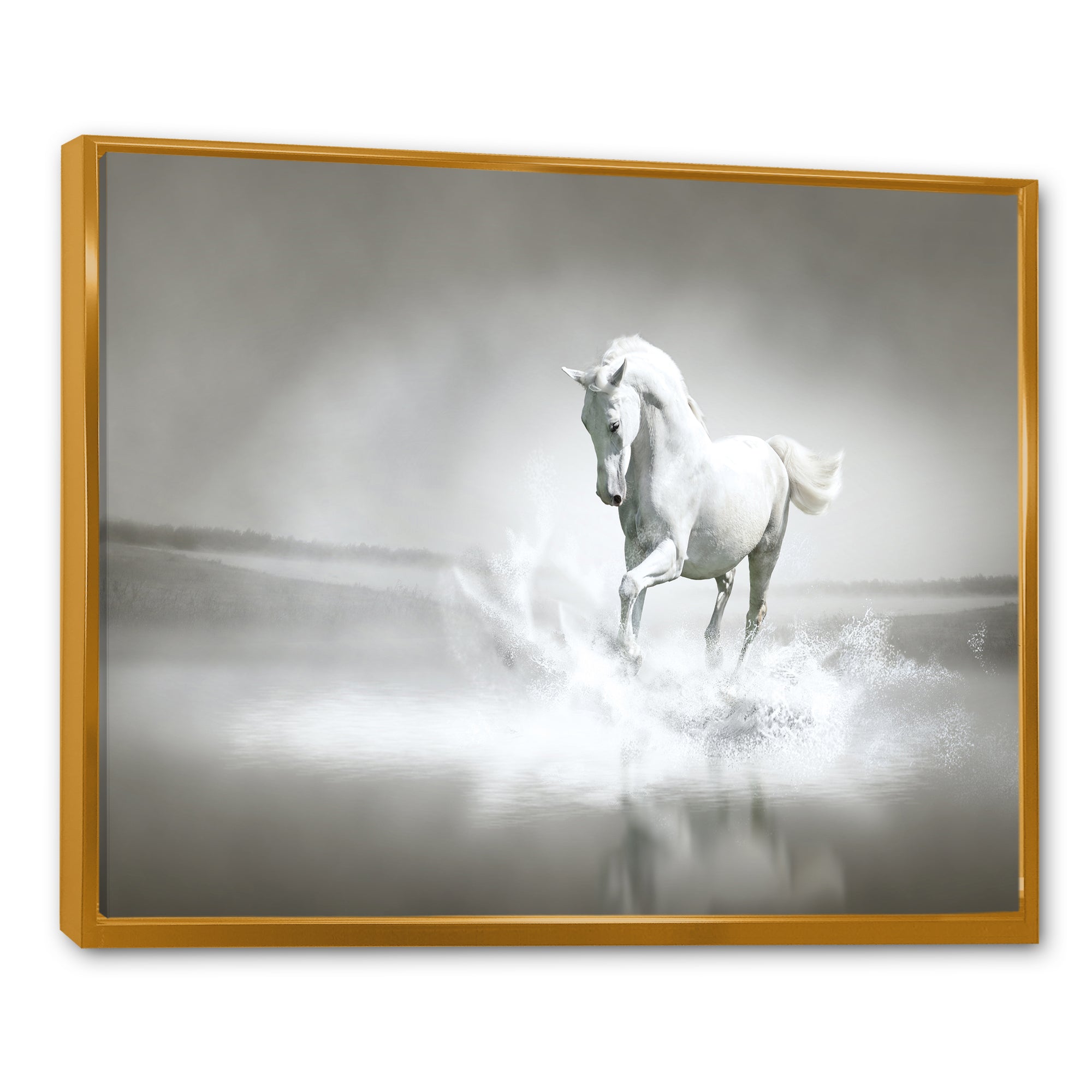 White Horse Running in Water