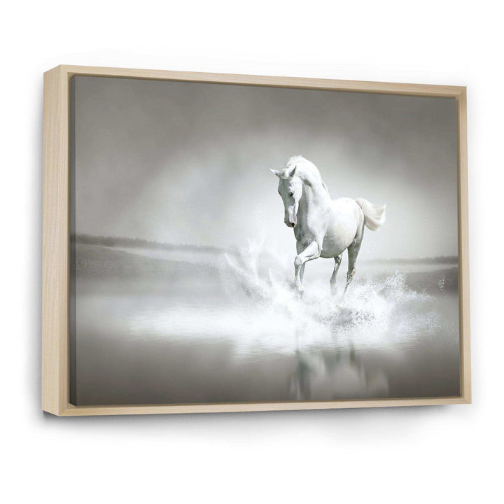 White Horse Running in Water