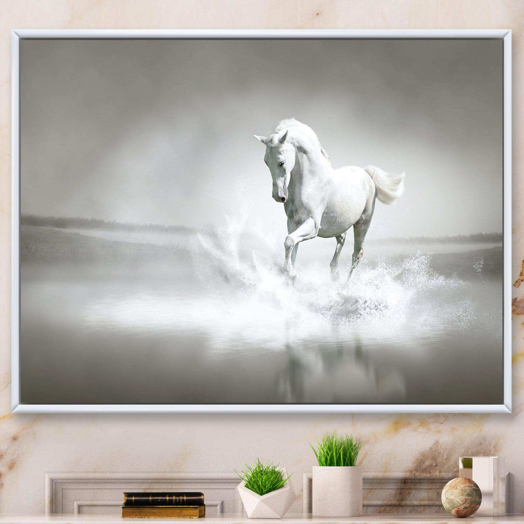 White Horse Running in Water
