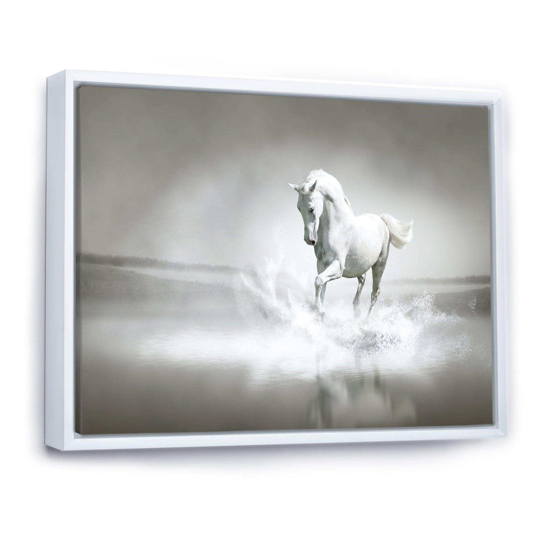 White Horse Running in Water