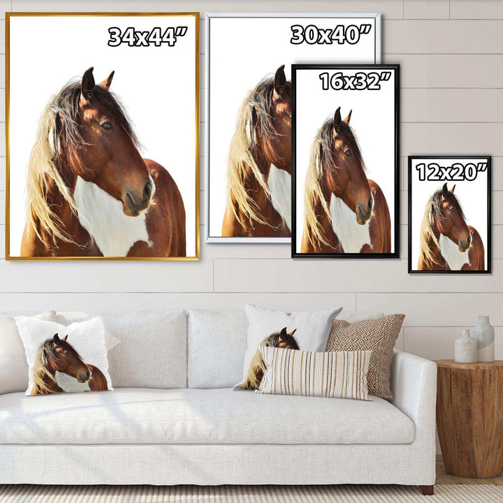 Large Brown Horse