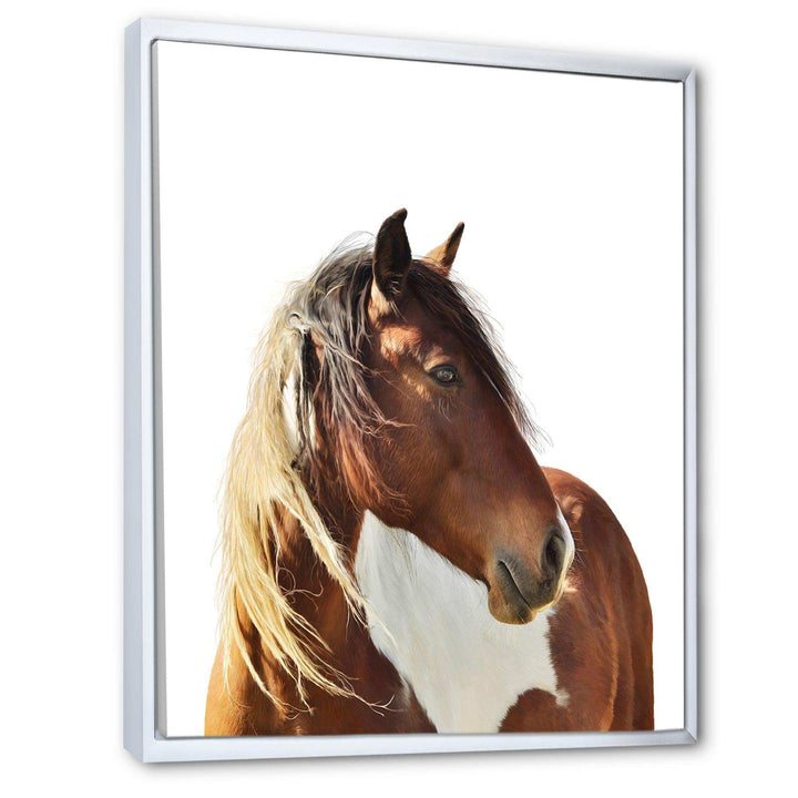 Large Brown Horse