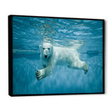 Polar Bear Swimming under Water