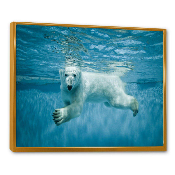 Polar Bear Swimming under Water