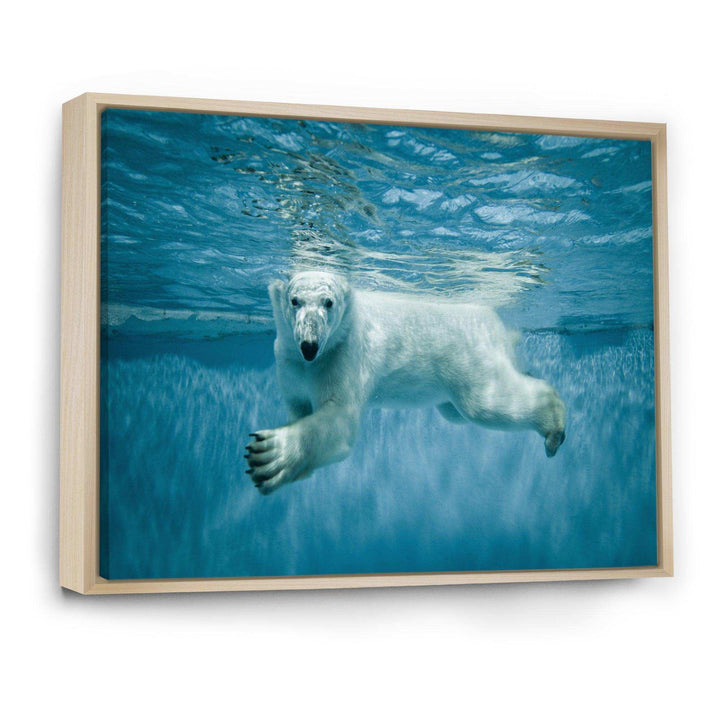 Polar Bear Swimming under Water