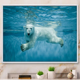 Polar Bear Swimming under Water