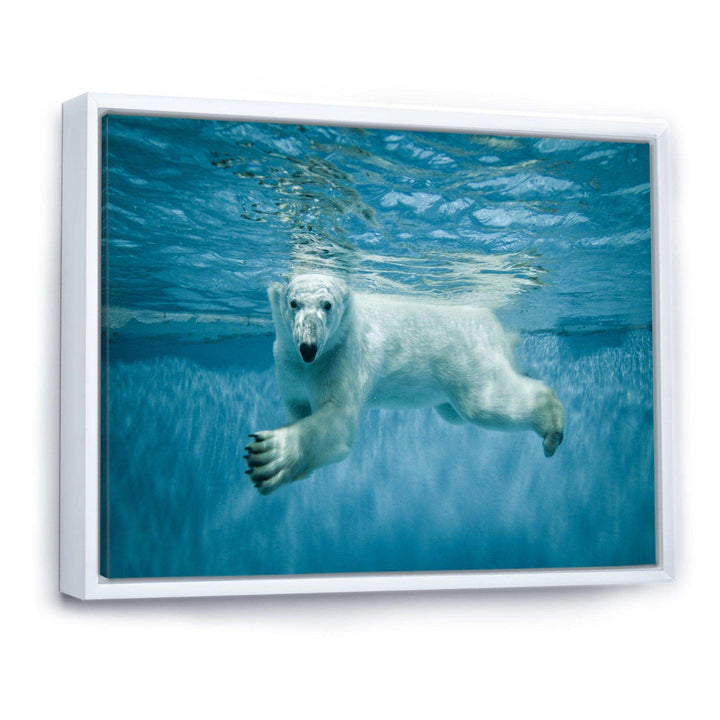 Polar Bear Swimming under Water