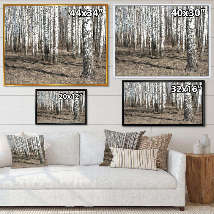 Beautiful Dense Birch Forest View