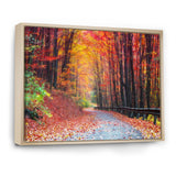 Road in Beautiful Autumn Forest