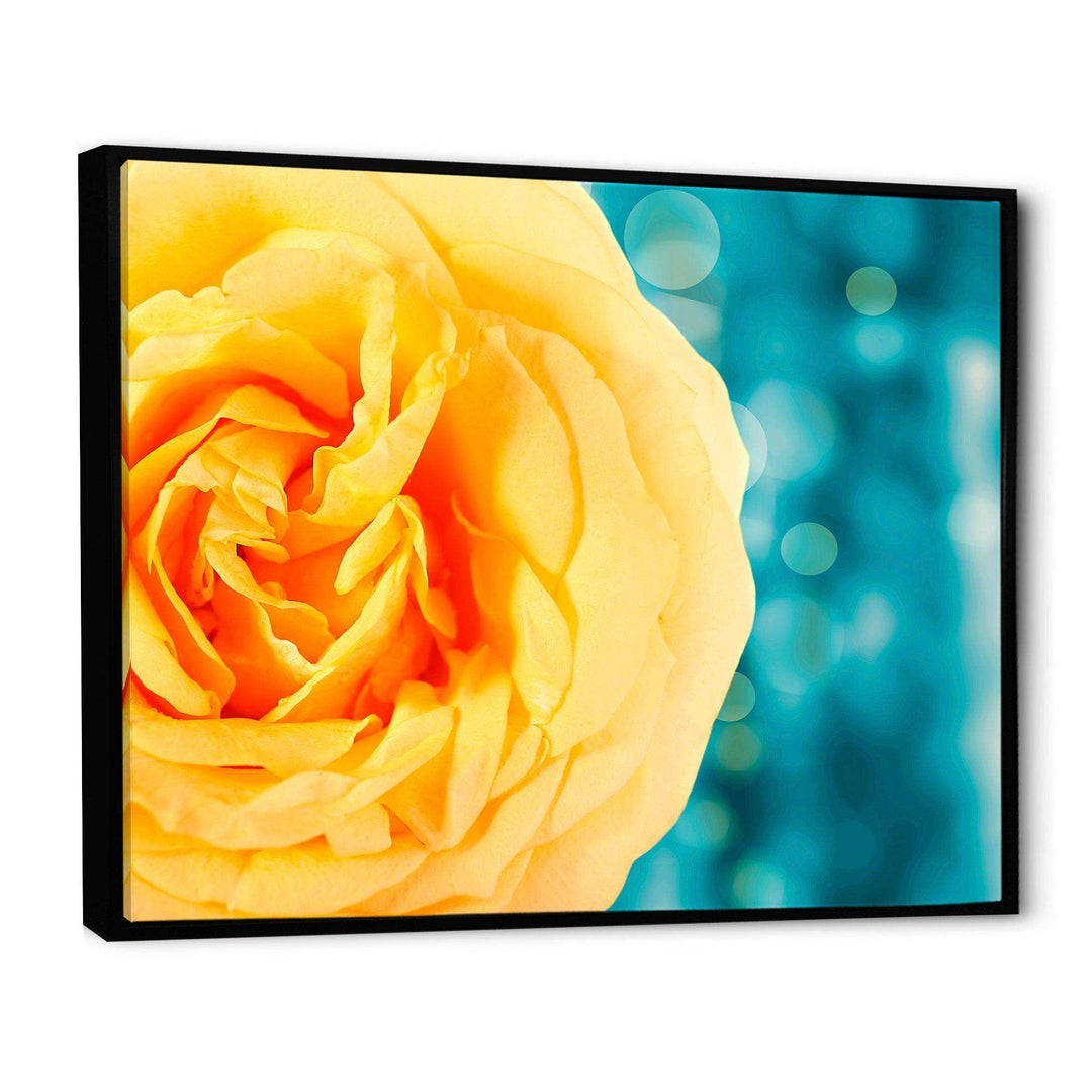 Rose Flower with Lit up Background