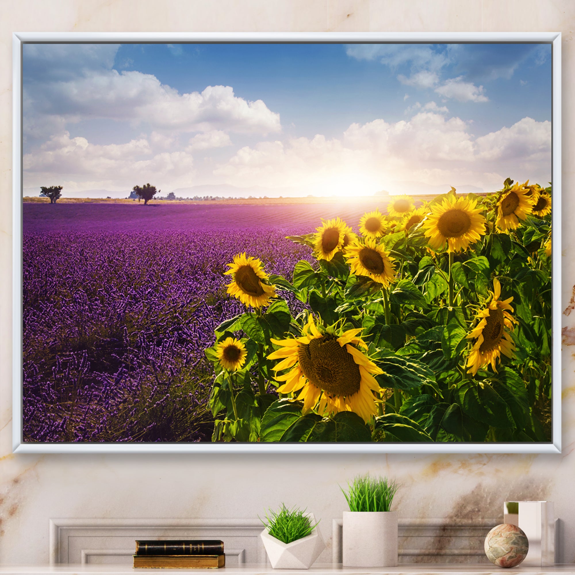 Lavender and Sunflower Fields