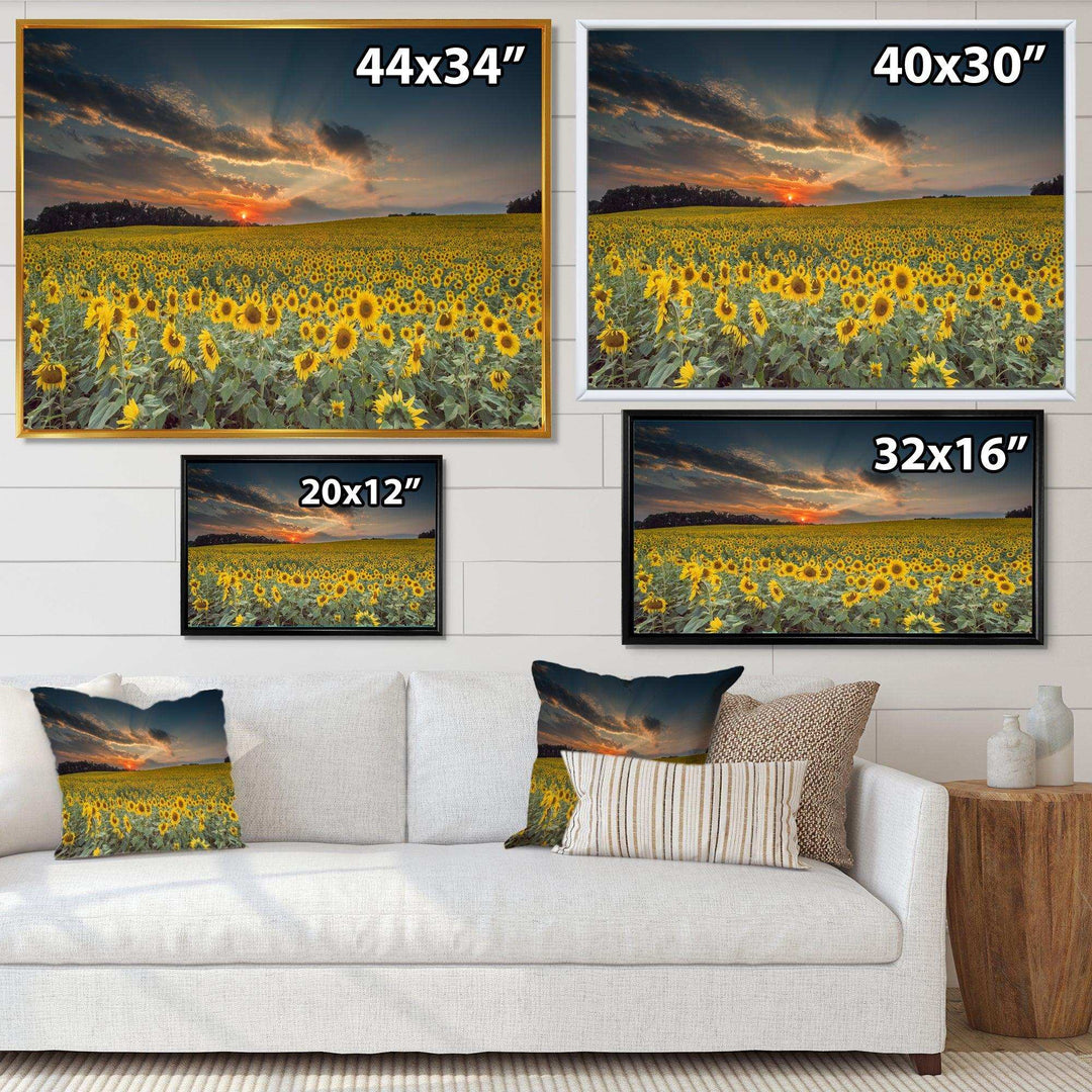 Sunflower Sunset with Cloudy Sky