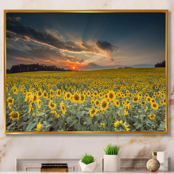 Sunflower Sunset with Cloudy Sky