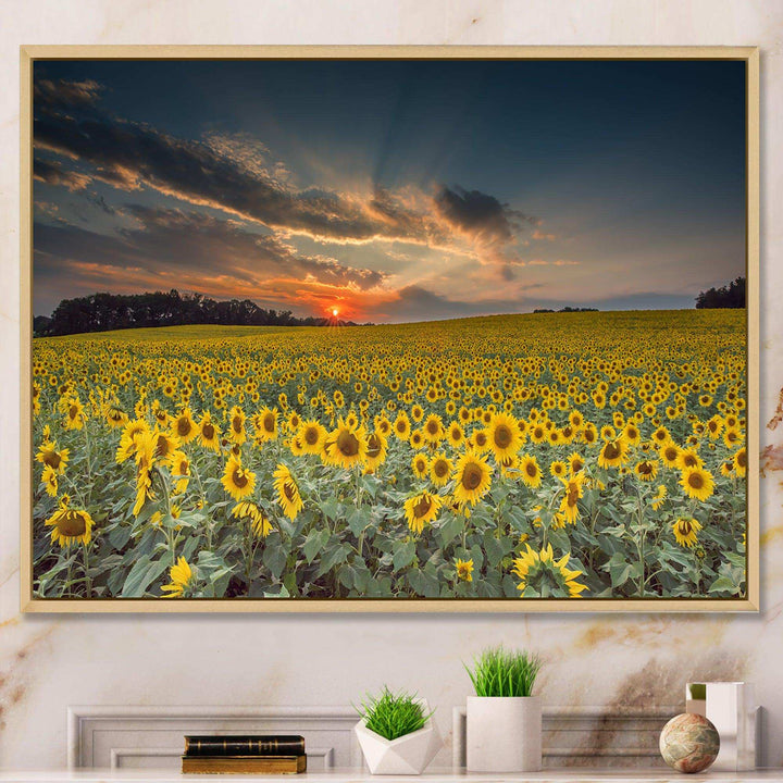 Sunflower Sunset with Cloudy Sky