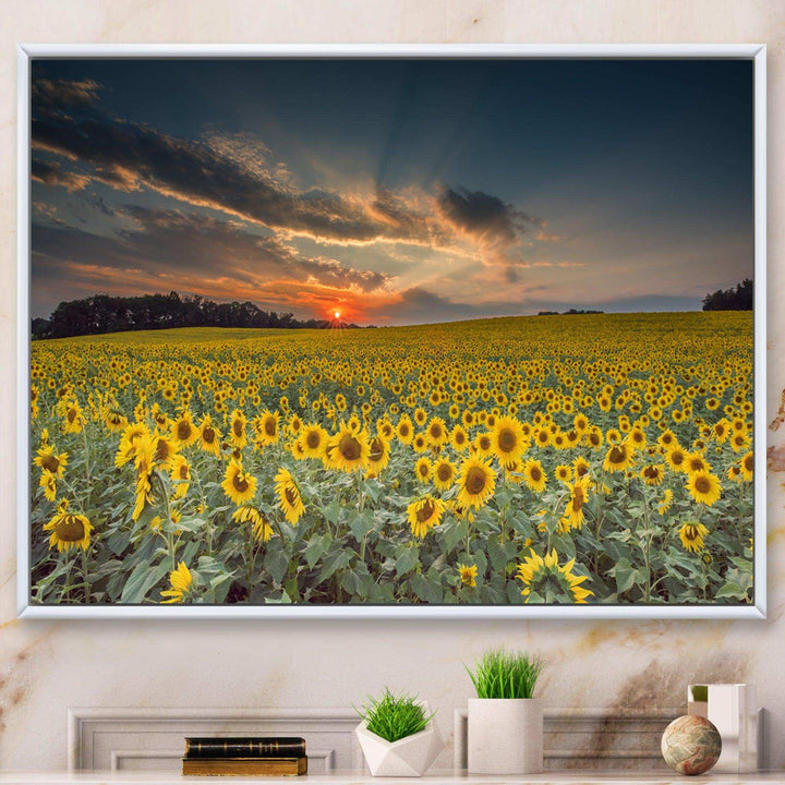 Sunflower Sunset with Cloudy Sky