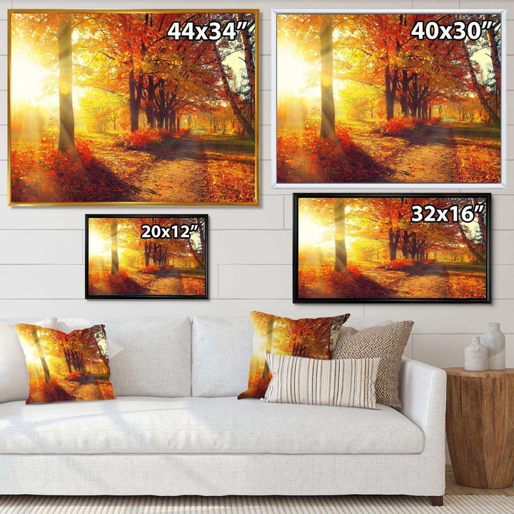 Autumnal Trees in Sunrays