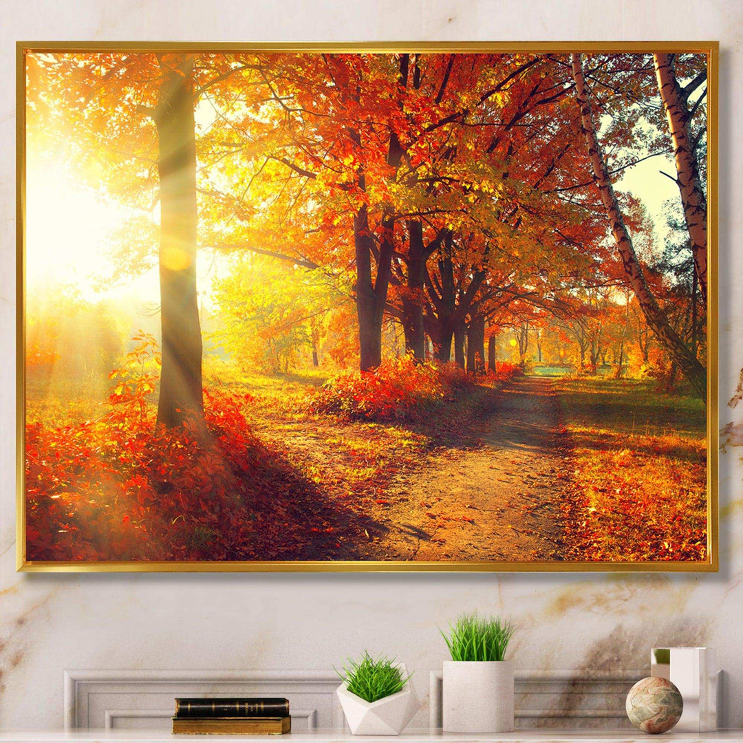 Autumnal Trees in Sunrays