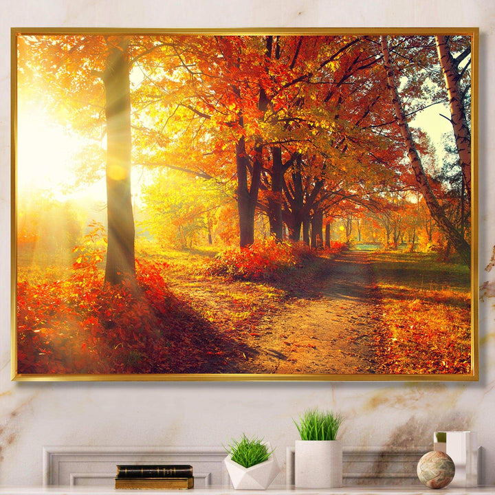 Autumnal Trees in Sunrays